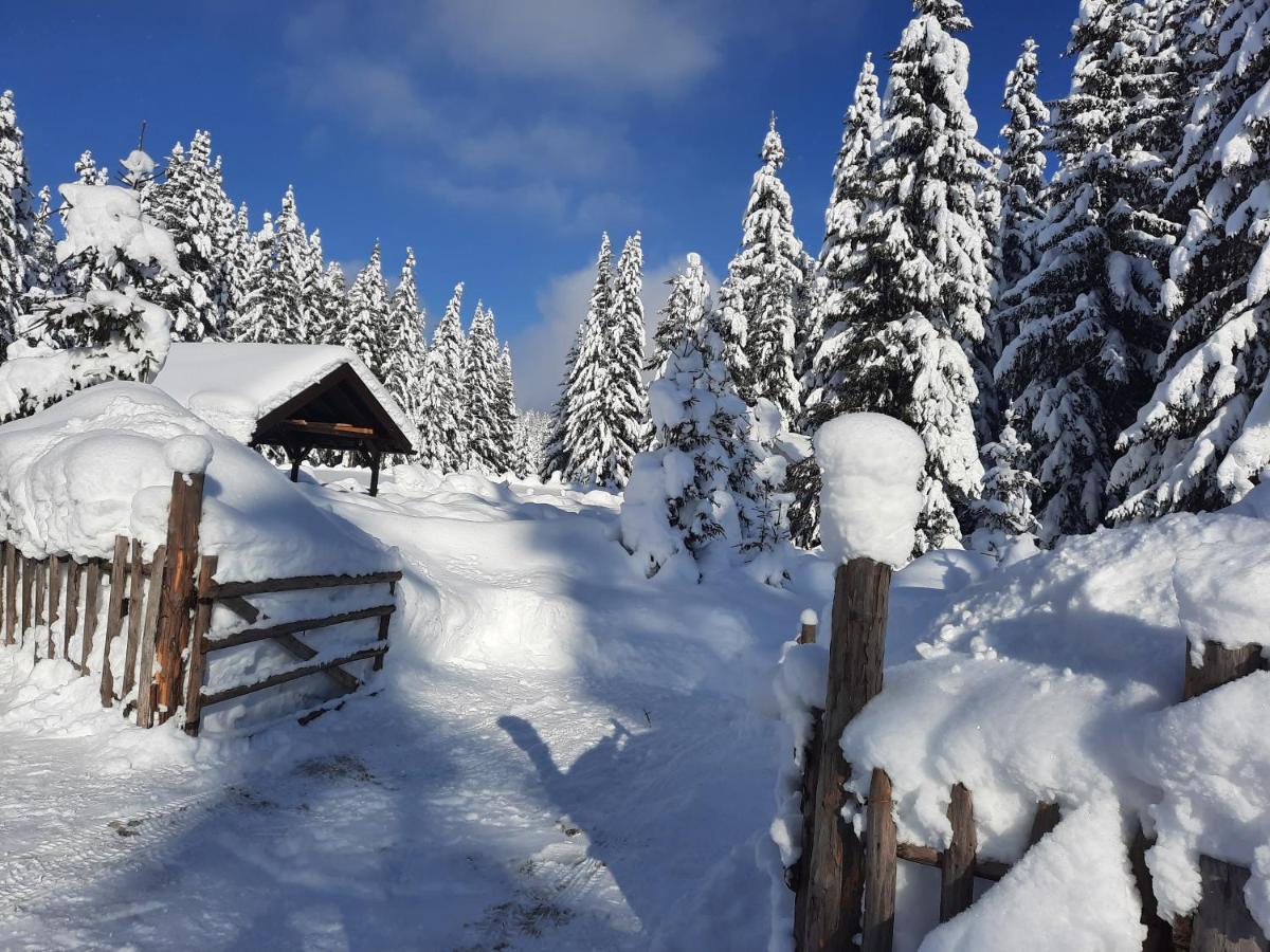 Vila Jelena Jahorina Exterior photo