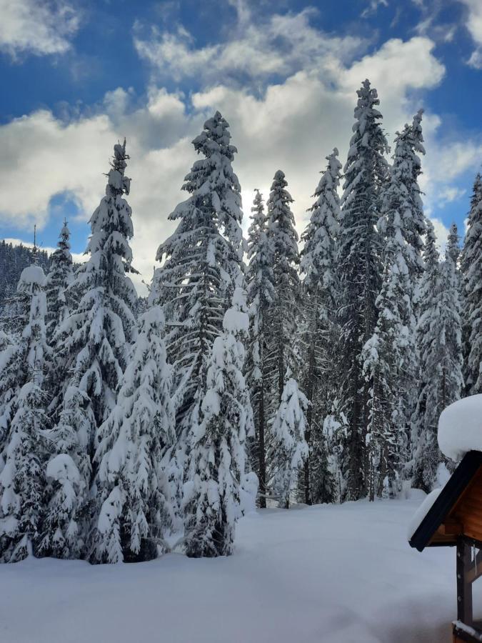 Vila Jelena Jahorina Exterior photo