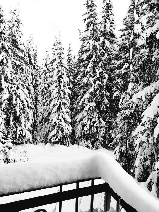 Vila Jelena Jahorina Exterior photo