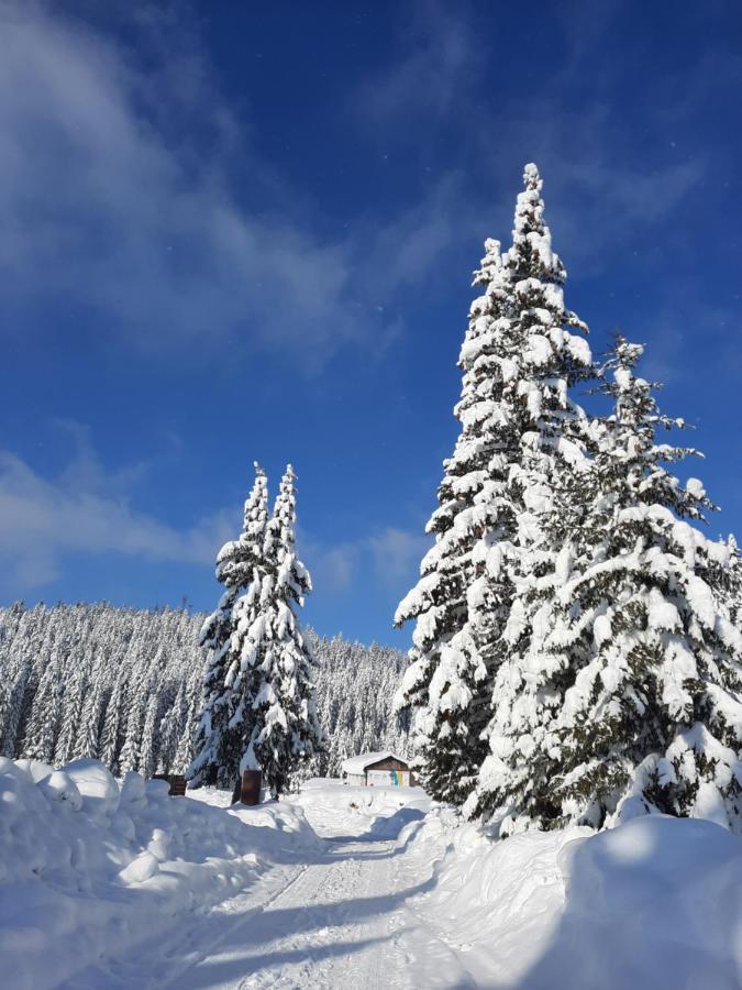 Vila Jelena Jahorina Exterior photo