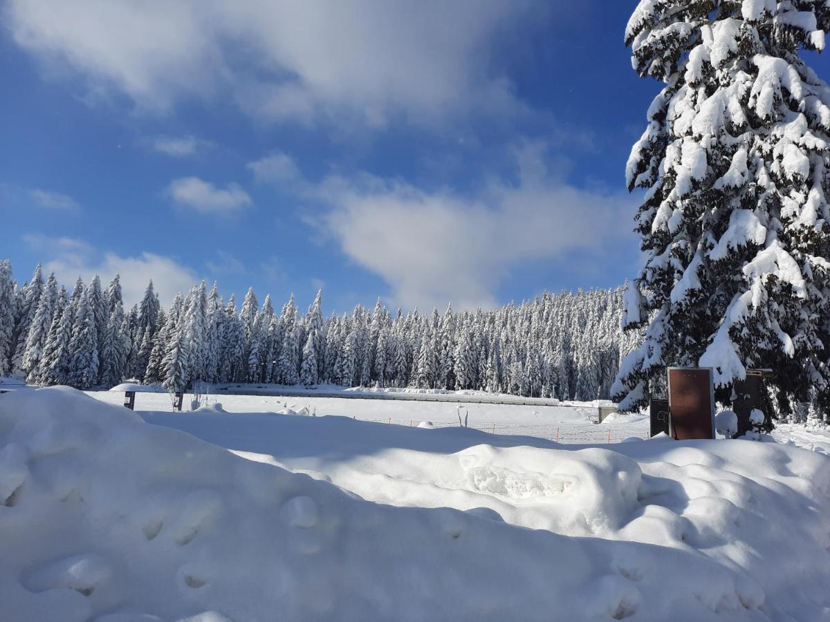 Vila Jelena Jahorina Exterior photo
